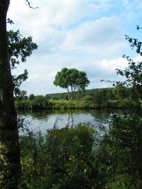 Klik op de foto voor groter formaat